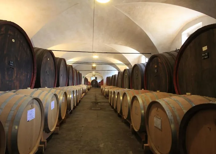 Agriturismo Dominio Di Bagnoli