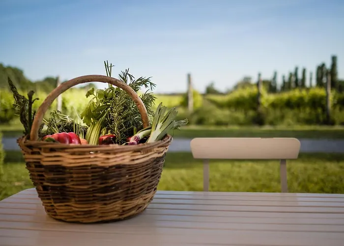 Agriturismo Dominio Di Bagnoli